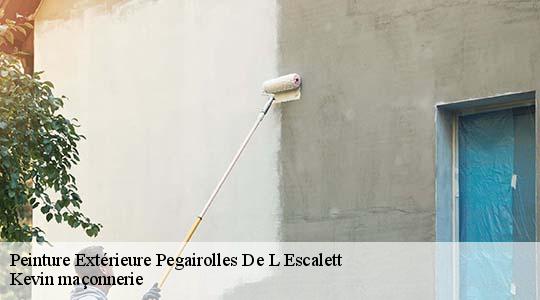 Peinture Extérieure